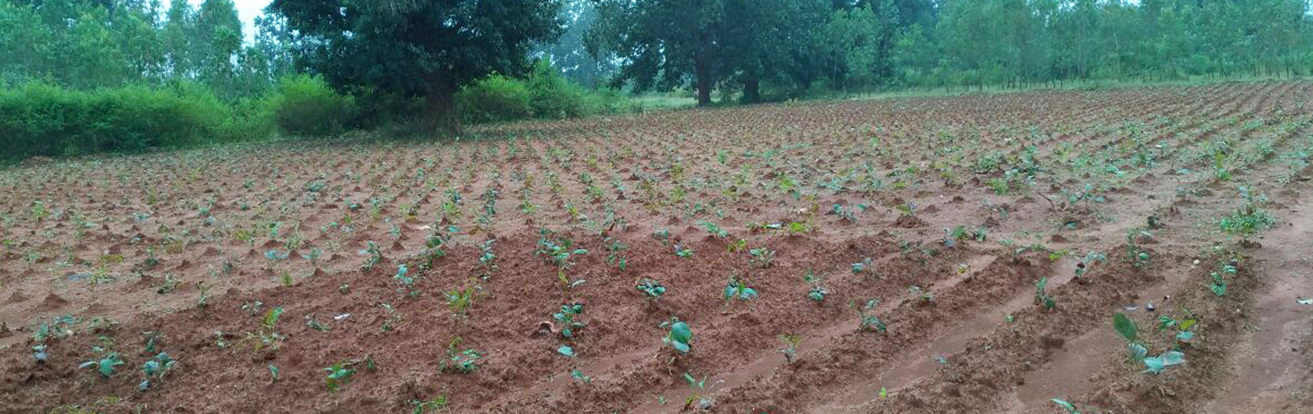 Natural Resource Based Livelihood